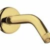 Cheap 🎉 Hansgrohe ShowerPower 5-1/4 in. Shower Arm in Polished Brass ✨ -Hansgrohe Online Store Query 25