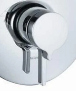 Budget 🤩 Hansgrohe Handle in Brushed Nickel ⭐